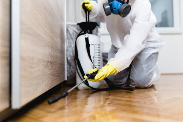 Best Bed Bug Extermination  in Reedurban, OH