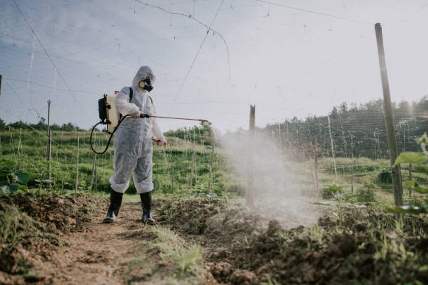 Best Local Pest Control Services  in Reedurban, OH