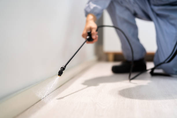 Best Commercial Pest Control Services  in Reedurban, OH
