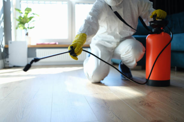 Best Wasp Removal Services  in Reedurban, OH