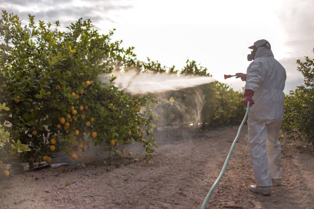 Best Affordable Exterminators  in Reedurban, OH