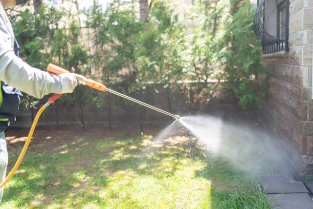 Best Pest Control Treatment  in Reedurban, OH