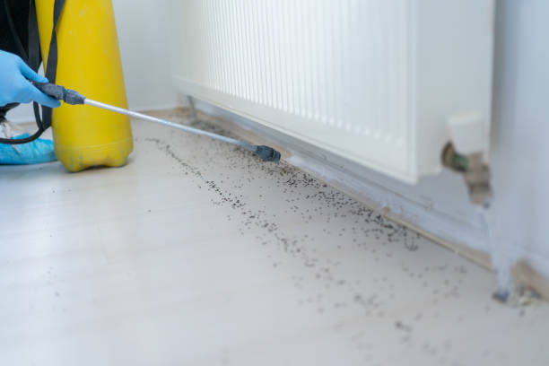 Best Mosquito Control Services  in Reedurban, OH