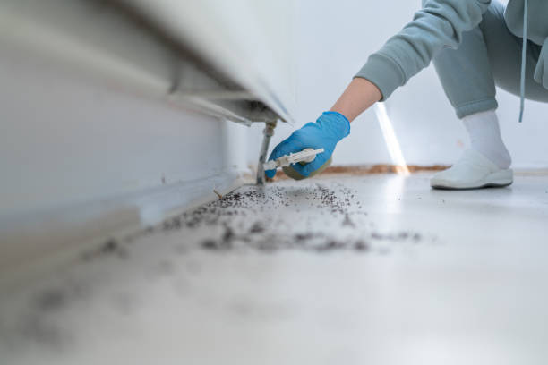 Best Affordable Pest Control Services  in Reedurban, OH